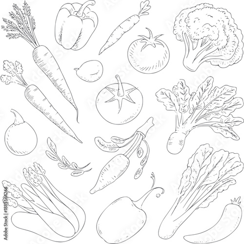 Of various vegetables in black and white carrots