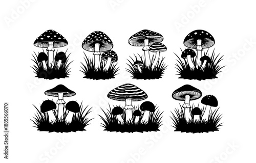Set of Mushrooms in Grass