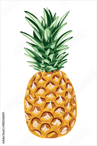 Tropical Pineapple Fruit Hand Drawn Botanical Illustration