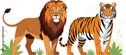 Majestic African lion and Bengal tiger standing together in nature with green grass for wildlife conservation safari zoo themes and predator animal education flat vector.