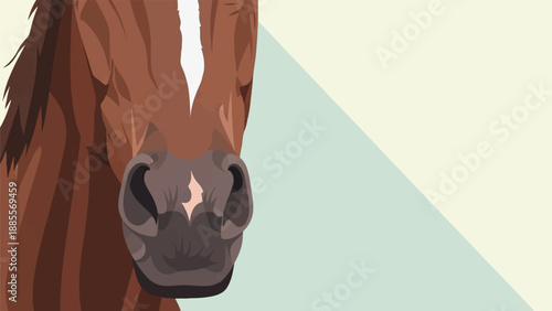 Close-up of a brown horse's face with a white blaze on its forehead