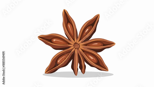 Close-up of a single, brown, star-shaped spice on a white background
