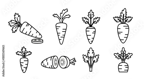 Set of illustrated carrots, whole and sliced, with green tops, in a clean, modern icon style, perfect for food or garden graphics