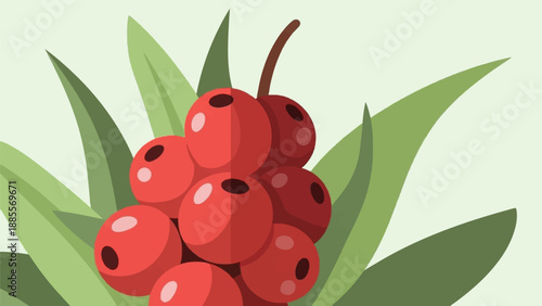 Cluster of bright red berries with dark spots, surrounded by green leaves