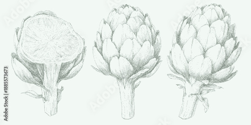 Set of three artichoke designs with fine grain texture, speckled dust overlays and faint stains on aged paper with light distressed marks.