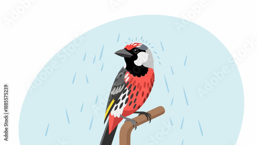 Colorful bird perched on a branch during a rain shower