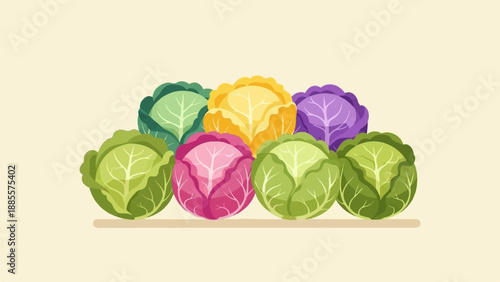 Colorful assortment of fresh cabbages arranged in a row on a light backdrop