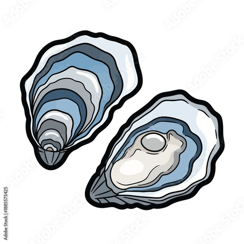 A stylized illustration of two open oysters on white background
