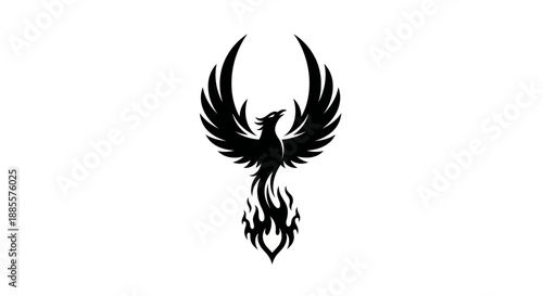 Black phoenix rising logo on white background