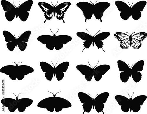 Butterfly silhouette set, wing variations, insect design, entomology reference, pattern diversity, cad drawing flat vector illustration, black isolated