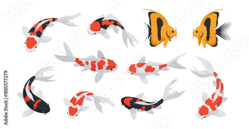 Colorful koi fish and tropical fish illustrations isolated on black background