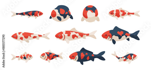 Colorful koi fish collection illustration against black background