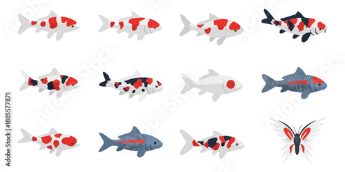 Koi fish illustration decorative design elements