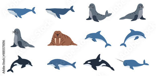 Marine mammals collection pixel art style on black background