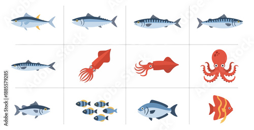 Various marine animals in grid display for educational or commercial use