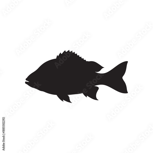 Pumpkinseed Fish silhouette vector art white background