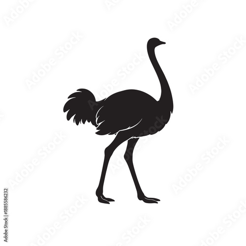Ostrich silhouette logo vector silhouette illustration.
