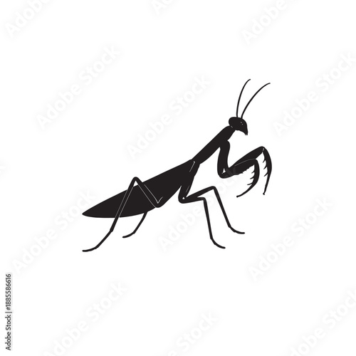 Praying mantis silhouette icon vector illustration.