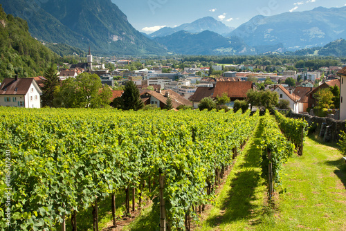 The panorama landscape of the capital Vaduz view with foggy mountains on the background and lush vineyard in the foregroundю Vaduz, Liechtenstein