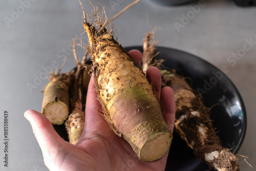 Rutabaga, root cabbage or swede is a hardy vegetable rich in vitamin C