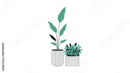 Pair of minimalist potted houseplants featuring one tall leafy variety and one smaller bushy plant in decorative containers.