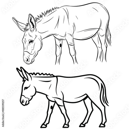 Vector file graphic design element