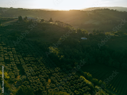 Aerial view of a sunlit landscape with lush green fields and rolling hills at sunrise. Italy Tuscany