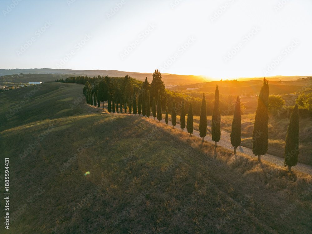 Fototapeta premium Sunset over a picturesque row of cypress trees on a hillside in Tuscany, Italy, creating a tranquil and scenic landscape. Italy Tuscany