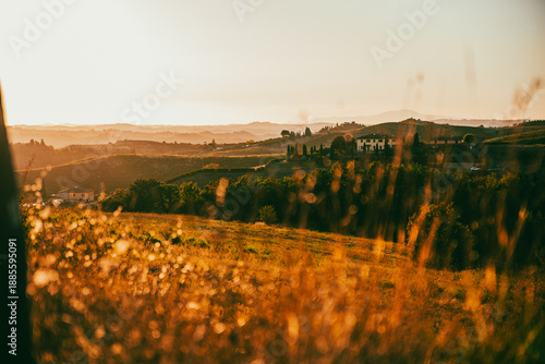 Idyllic countryside landscape at sunset with rolling hills and warm golden light. Italy Tuscany