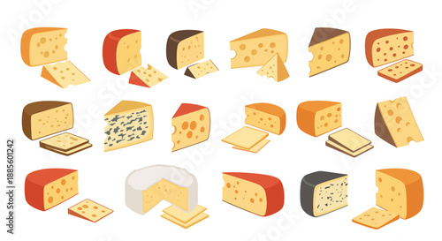 Various types of gourmet cheese wedges and blocks including brie, cheddar, swiss, and blue cheese on a white background.