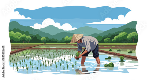 Vector illustration of an Asian farmer planting rice seedlings by hand in flooded paddies, showing traditional farming methods and sustainable rural lifestyle in flat vector design