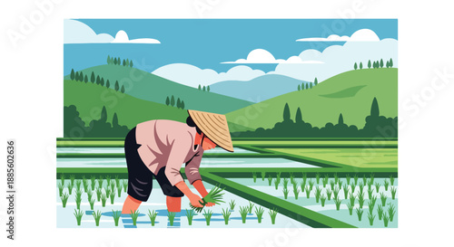 Vector illustration of an Asian farmer planting rice seedlings by hand in flooded paddies, showing traditional farming methods and sustainable rural lifestyle in flat vector design