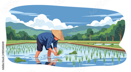 Vector illustration of an Asian farmer planting rice seedlings by hand in flooded paddies, showing traditional farming methods and sustainable rural lifestyle in flat vector design