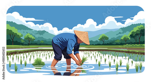 Vector illustration of an Asian farmer planting rice seedlings by hand in flooded paddies, showing traditional farming methods and sustainable rural lifestyle in flat vector design