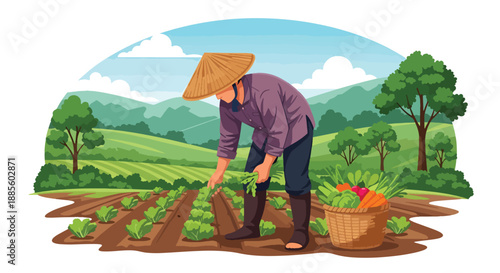 Vector illustration of an Asian farmer harvesting vegetables in a sunny field, symbolizing organic food production and daily rural agriculture life in flat vector style