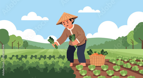 Vector illustration of an Asian farmer harvesting vegetables in a sunny field, symbolizing organic food production and daily rural agriculture life in flat vector style