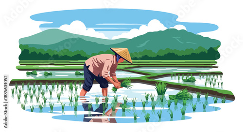 Vector illustration of an Asian farmer planting rice seedlings by hand in flooded paddies, showing traditional farming methods and sustainable rural lifestyle in flat vector design
