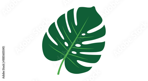 Single large dark green monstera leaf with its characteristic holes and split edges shown in a clean flat design style.