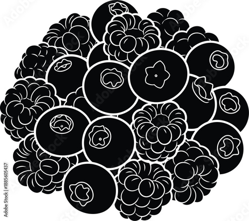 Berry vector silhouette of blueberries and raspberries in black isolated illustration
