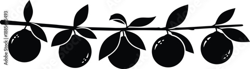 Orange branch vector silhouette with leaves and fruit isolated on white background