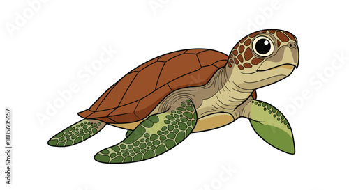 Detailed illustration of a sea turtle swimming with its brown shell and green patterned flippers on a white background.