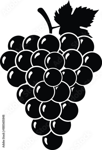 Grapes cluster vector silhouette illustration for wine labels and food packaging design