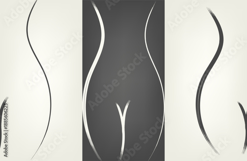 line of the female body on a dark abd white background.  White line.  vector. silhouette female. set background 