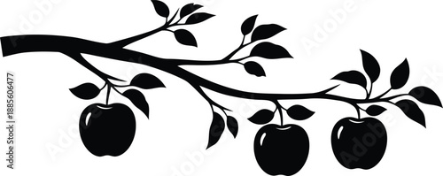 Apple branch vector silhouette with leaves and fruit isolated on white background