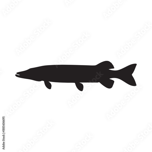 Northern pike fish silhouette vector art white background