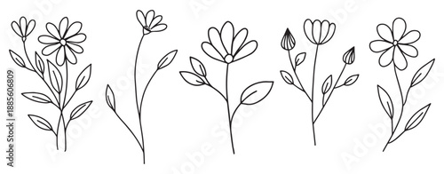 Set of detailed different flowers and branch frames editable stroke. Luxury line vintage floral collection for wedding invitation art, save the date card. Various botanical vector design. Decor templa