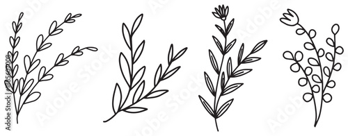 Set of detailed different flowers and branch frames editable stroke. Luxury line vintage floral collection for wedding invitation art, save the date card. Various botanical vector design. Decor templa