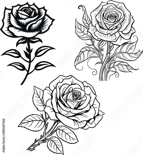 Set of Detailed Hand Drawn Rose Sketches and Floral Elements