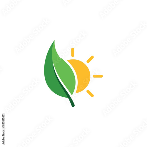 Green leafy plant grows under sunny weather conditions outdoors naturally