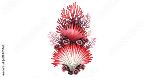 Watercolor illustration of vibrant red and pink coral reef.